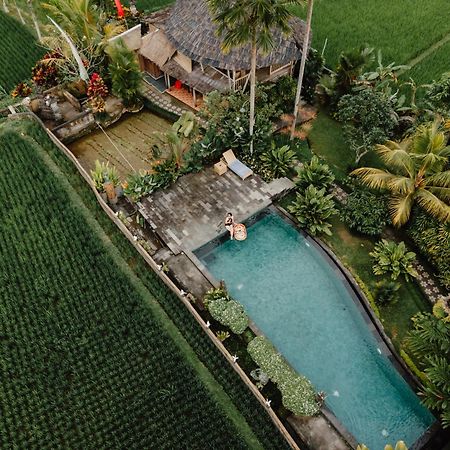 Padi Bali Retreat Hotel Payangan Exterior photo