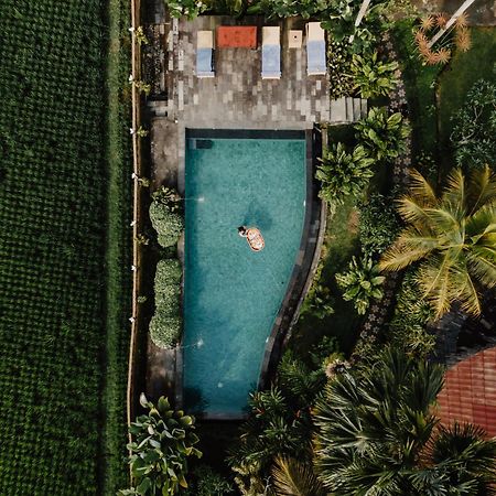 Padi Bali Retreat Hotel Payangan Exterior photo