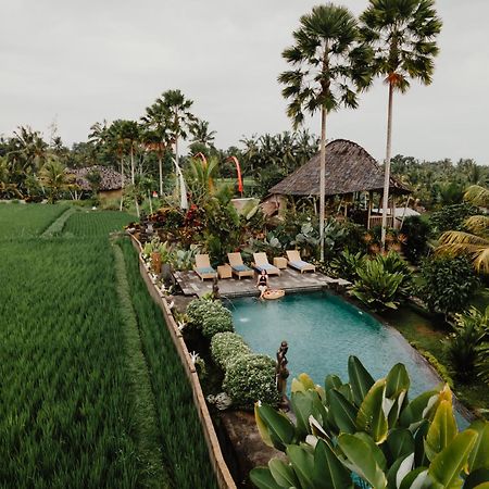 Padi Bali Retreat Hotel Payangan Exterior photo