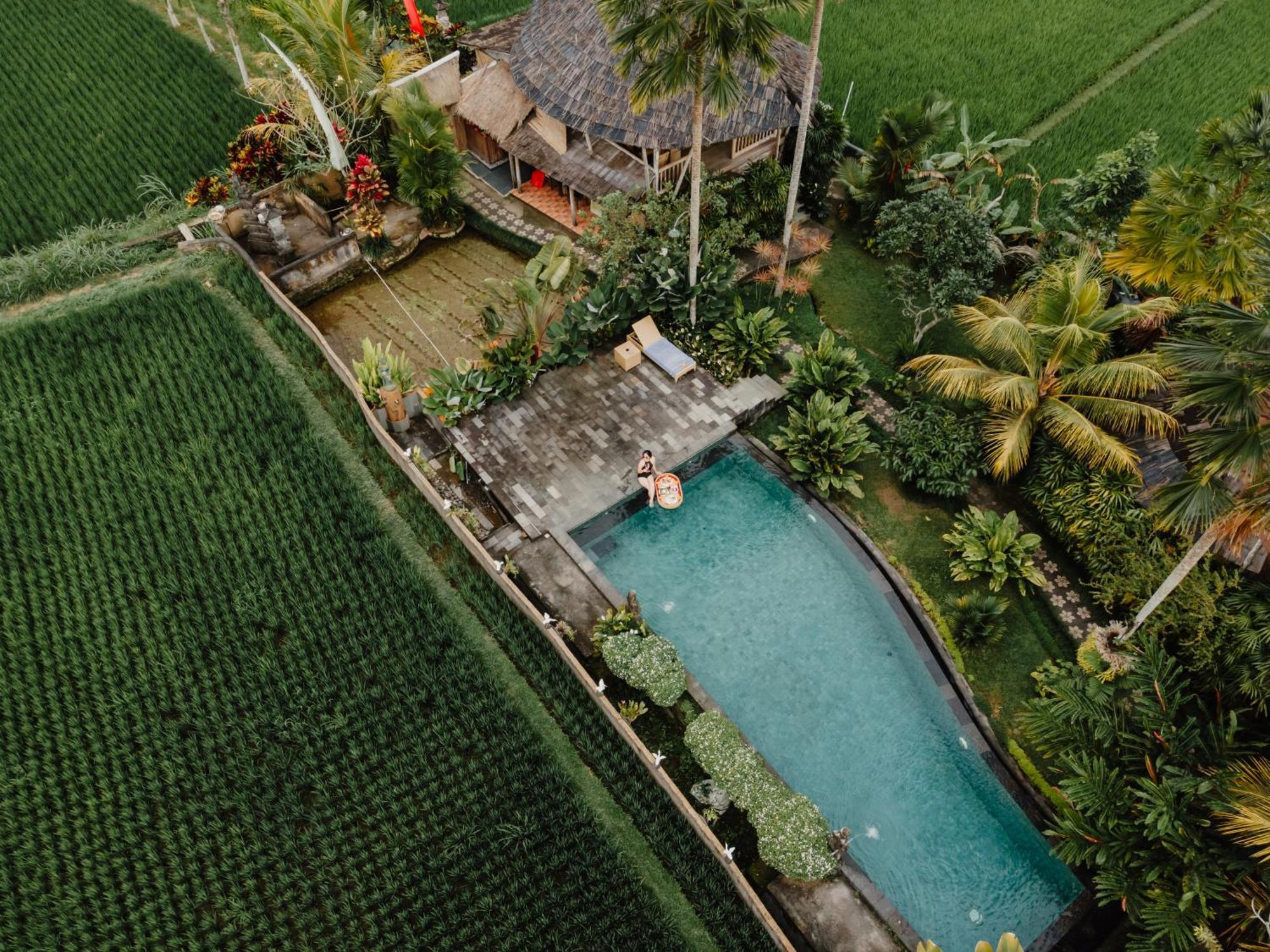 Padi Bali Retreat Hotel Payangan Exterior photo