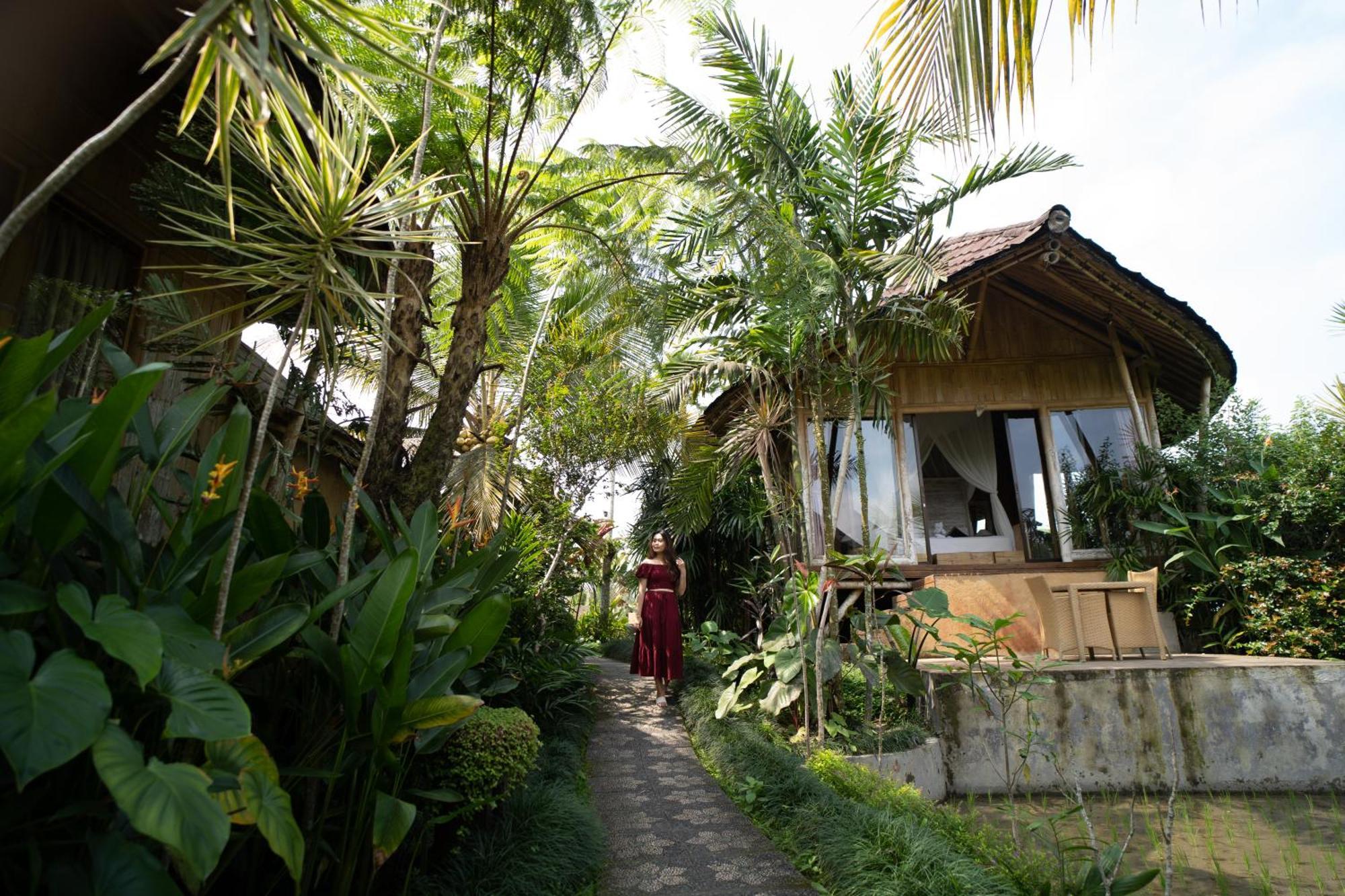 Padi Bali Retreat Hotel Payangan Exterior photo