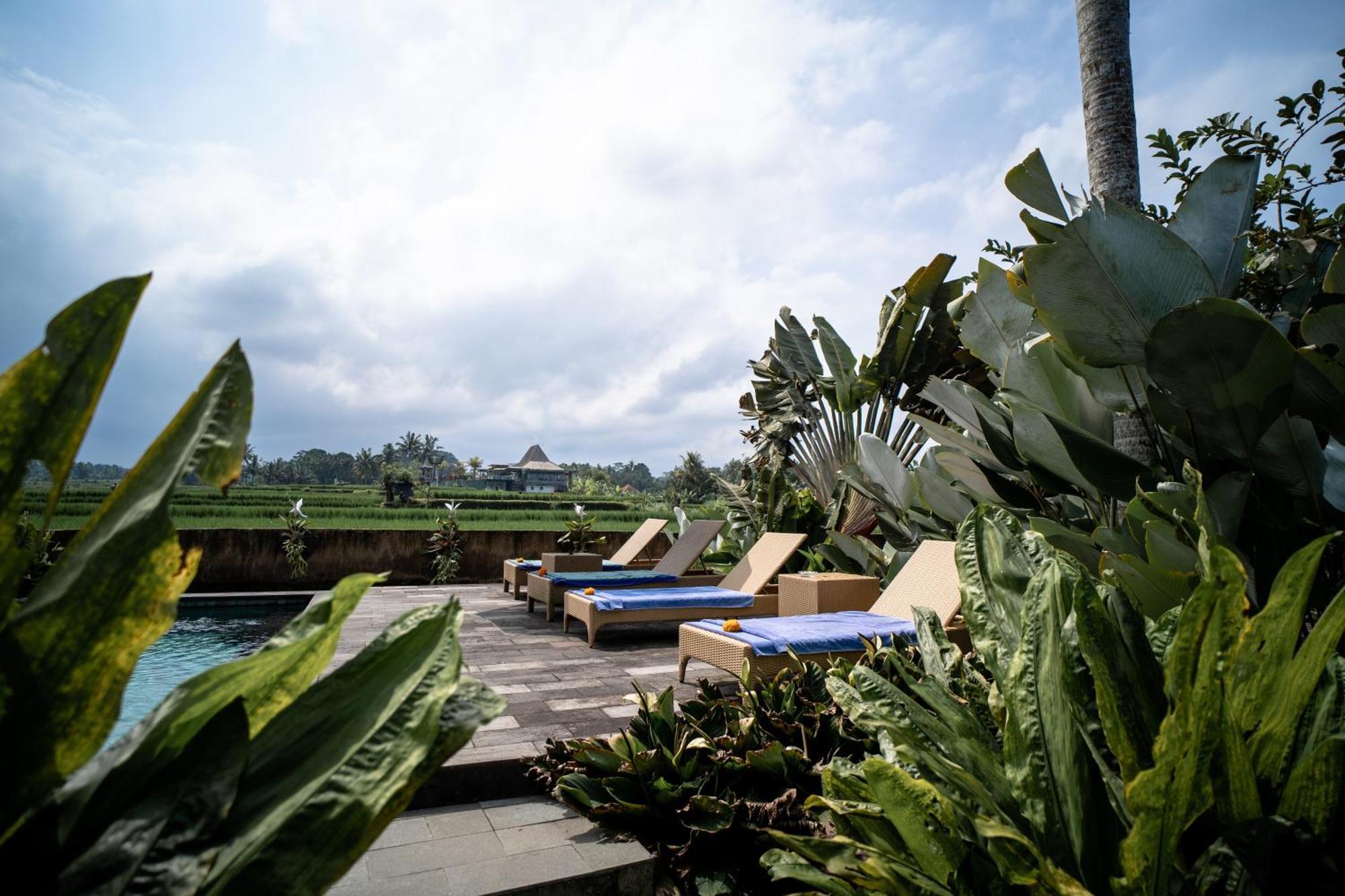 Padi Bali Retreat Hotel Payangan Exterior photo