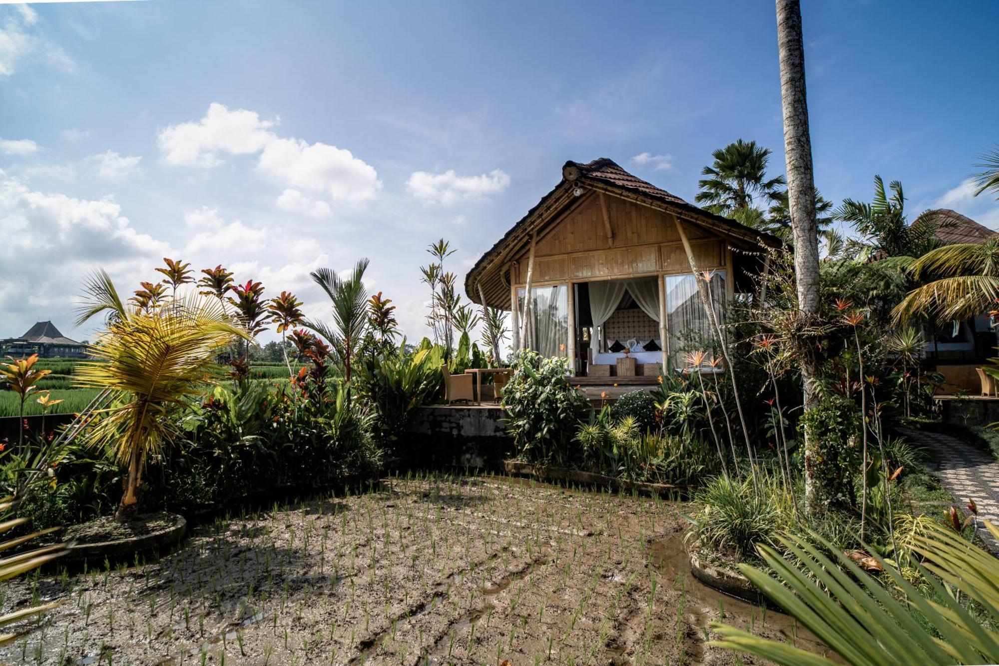 Padi Bali Retreat Hotel Payangan Exterior photo